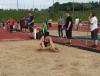 Bild von Galerie: Leichtathletik 2017 (April bis Juli)