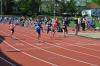 Bild von Galerie: Leichtathletik 2017 (April bis Juli)