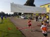 Bild von Galerie: Leichtathletik 2017 (August bis Oktober)