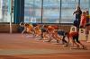 Bild von Galerie: Leichtathletik 2018 (Januar bis März)