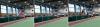 Bild von Galerie: Leichtathletik 2018 (Januar bis März)
