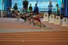 Bild von Galerie: Leichtathletik 2018 (Januar bis März)