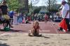 Bild von Galerie: Leichtathletik 2018 (April bis Juni)