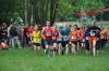 Bild von Galerie: 13. Brüssower Pokallauf