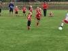Bild von Galerie: Bambinis und F-Jugend 17/18