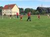 Bild von Galerie: Bambinis und F-Jugend 17/18