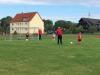 Bild von Galerie: Bambinis und F-Jugend 17/18