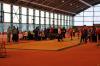 Bild von Galerie: Leichtathletik 2019 (Januar bis März)
