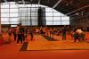 Bild von Galerie: Leichtathletik 2019 (Januar bis März)