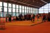 Bild von Galerie: Leichtathletik 2019 (Januar bis März)