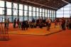 Bild von Galerie: Leichtathletik 2019 (Januar bis März)