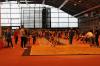 Bild von Galerie: Leichtathletik 2019 (Januar bis März)