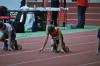 Bild von Galerie: Leichtathletik 2019 (Januar bis März)