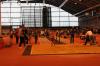 Bild von Galerie: Leichtathletik 2019 (Januar bis März)