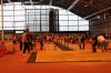 Bild von Galerie: Leichtathletik 2019 (Januar bis März)