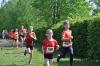 Bild von Galerie: Brüssower Pokallauf, 18.05.2019