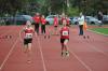 Bild von Galerie: Leichtathletik 2019 (Juli bis September)
