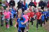 Bild von Galerie: Leichtathletik 2019 (Oktober bis Dezember)