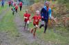 Bild von Galerie: Leichtathletik 2019 (Oktober bis Dezember)