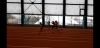 Bild von Galerie: Leichtathletik 2020 (Januar bis März)