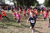 Bild von Galerie: Brüssower Pokallauf, 29.08.2020