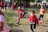 Bild von Galerie: Brüssower Pokallauf, 29.08.2020