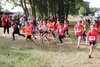 Bild von Galerie: Brüssower Pokallauf, 29.08.2020