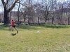 Bild von Galerie: Leichtathletik 2021 (März bis September)