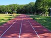 Bild von Galerie: Leichtathletik 2021 (März bis September)