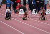 Bild von Galerie: Leichtathletik 2021 (März bis September)