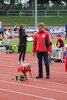 Bild von Galerie: Leichtathletik 2021 (März bis September)