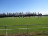 Bild von Galerie: Fußball 2013/2014