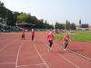 Bild von Galerie: Leichtathletik 2013