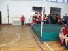 Bild von Galerie: Leichtathletik 2013