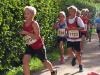 Bild von Galerie: Leichtathletik 2013