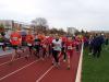 Bild von Galerie: Leichtathletik 2013