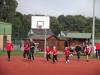 Bild von Galerie: Leichtathletik 2013