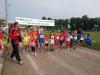 Bild von Galerie: Leichtathletik 2013