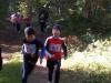 Bild von Galerie: Leichtathletik 2013