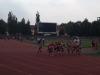 Bild von Galerie: Leichtathletik 2013