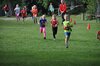 Bild von Galerie: Brüssower Pokallauf, 21.08.2021