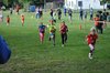 Bild von Galerie: Brüssower Pokallauf, 21.08.2021