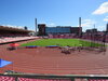Bild von Galerie: Leichtathletik 2022 (April bis Juli)