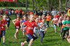 Bild von Galerie: Brüssower Pokallauf 7.5.2022