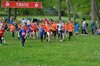 Bild von Galerie: Brüssower Pokallauf 7.5.2022