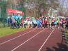 Bild von Galerie: Leichtathletik 2014 (Januar bis April)