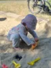 Bild von Galerie: Schnappschüsse