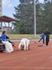 Bild von Galerie: Leichtathletik April-Juni 2025