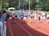 Bild von Galerie: Leichtathletik 2014 (Mai bis August)