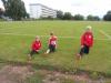 Bild von Galerie: Leichtathletik 2014 (Mai bis August)